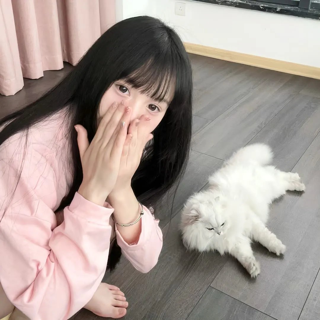 星耀女孩:好莱坞篇